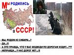     
: Вся паравда о Ро&#.jpg
: 10
:	141.8 
ID:	6238496