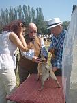     
: P5181900.jpg
: 13
:	106.8 
ID:	6242942