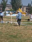     
: P5181904.jpg
: 12
:	144.0 
ID:	6243001