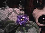    
: Фото0674.jpg
: 10
:	97.9 
ID:	6244062