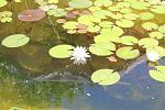     
: IMG_7684а.jpg
: 20
:	170.4 
ID:	6246853