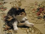     
: Изображение 092.jpg
: 8
:	171.5 
ID:	6247310