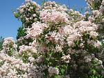     
:   16.05.2013 106.jpg
: 11
:	160.2 
ID:	6248201