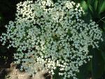     
:   16.05.2013 111.jpg
: 9
:	136.8 
ID:	6248204