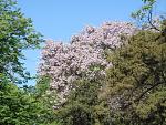     
:   16.05.2013 011.jpg
: 11
:	156.3 
ID:	6248213