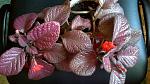     
: IMG_00000910.jpg
: 4
:	174.9 
ID:	6249805