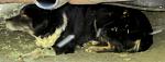     
: IMG_2489.jpg
: 18
:	51.9 
ID:	6250212
