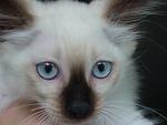     
: DSC00224.jpg
: 5
:	76.9 
ID:	6250974