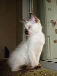     
: DSC00213.jpg
: 5
:	61.3 
ID:	6250976