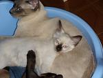     
: DSC00194.jpg
: 7
:	102.7 
ID:	6250977