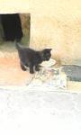    
: IMG00032.jpg
: 34
:	17.4 
ID:	6253054