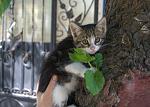     
: DSC_0153.NEF.jpg
: 43
:	122.5 
ID:	6253423