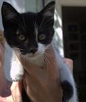     
: DSC_0156.NEF.jpg
: 41
:	62.9 
ID:	6253425