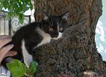     
: DSC_0159.NEF.jpg
: 41
:	142.2 
ID:	6253427