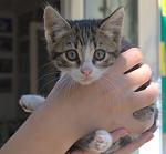     
: DSC_0152.NEF.jpg
: 42
:	85.7 
ID:	6253428