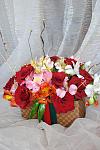    
: DSC_0020.jpg
: 6
:	91.6 
ID:	6253622