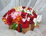     
: DSC_0022.jpg
: 4
:	140.3 
ID:	6253626