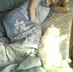     
: Photo-40.jpg
: 8
:	72.4 
ID:	6257069