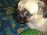     
: 23112009430.jpg
: 30
:	125.5 
ID:	625823
