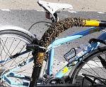     
: bike-lock1.jpg
: 14
:	151.9 
ID:	6260304