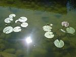     
: DSC09794.JPG
: 16
:	94.5 
ID:	6264674
