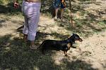     
: IMG_1551.jpg
: 2
:	197.7 
ID:	6265333