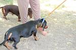     
: IMG_1547.jpg
: 14
:	127.2 
ID:	6265374