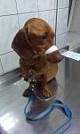     
: 2013-05-22 20.24.33.jpg
: 40
:	60.8 
ID:	6268819