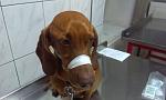     
: 2013-05-22 20.24.38.jpg
: 36
:	64.8 
ID:	6268821