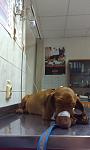     
: 2013-05-22 20.25.56.jpg
: 30
:	59.9 
ID:	6268823