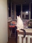     
: 20130520_231204.jpg
: 6
:	75.0 
ID:	6271739