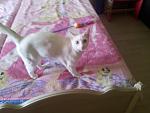     
: 20130521_173009.jpg
: 9
:	97.6 
ID:	6271740