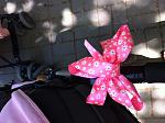     
: IMG_0659.jpg
: 13
:	120.5 
ID:	6273042
