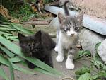     
: IMG_1364.jpg
: 15
:	142.3 
ID:	6273695