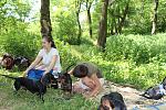     
: IMG_1539.jpg
: 8
:	242.6 
ID:	6275696