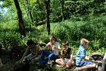     
: IMG_1567.jpg
: 2
:	215.9 
ID:	6275698