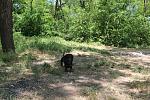     
: IMG_1570.jpg
: 7
:	258.5 
ID:	6275699