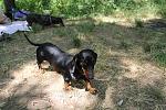     
: IMG_1571.jpg
: 12
:	201.0 
ID:	6275702