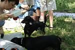     
: IMG_1600.jpg
: 7
:	135.6 
ID:	6275724