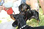     
: IMG_1603.jpg
: 5
:	101.7 
ID:	6275725