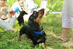     
: IMG_1610.jpg
: 7
:	164.6 
ID:	6275727
