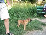     
: IMG_5977.jpg
: 6
:	258.0 
ID:	6275913