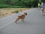     
: IMG_5978.jpg
: 9
:	172.6 
ID:	6275914