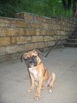     
: IMG_5984.jpg
: 9
:	114.6 
ID:	6275915