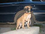     
: IMG_5993.jpg
: 9
:	132.4 
ID:	6275916