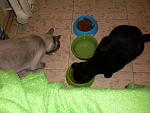     
: SANY0235.jpg
: 5
:	138.4 
ID:	6276671
