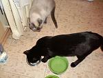     
: SANY0233.jpg
: 5
:	137.3 
ID:	6276674