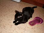     
: SANY0231.jpg
: 3
:	143.6 
ID:	6276682