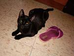     
: SANY0232.jpg
: 5
:	142.1 
ID:	6276684