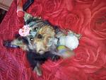     
: 2013-05-25 17.11.00.jpg
: 7
:	114.6 
ID:	6278330